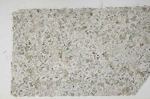 Plane Polarized, S59706