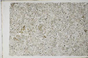 Plane Polarized, S59707