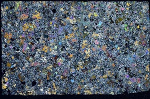 Cross Polarized, S59707/A