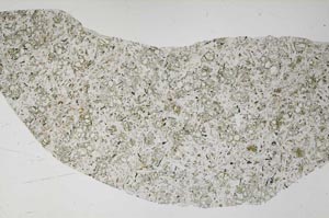 Plane Polarized, S59708