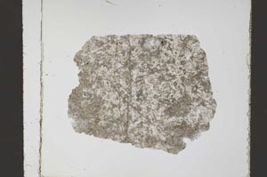 Plane Polarized, S59712