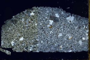 Cross Polarized, S59713