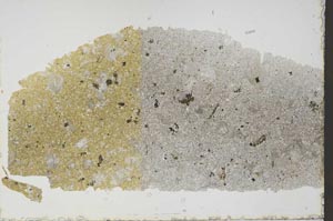 Plane Polarized, S59713