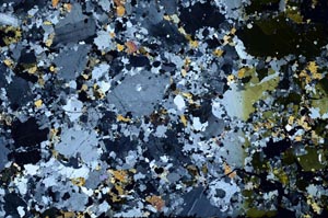 Cross Polarized, S59717