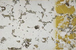 Plane Polarized, S59717