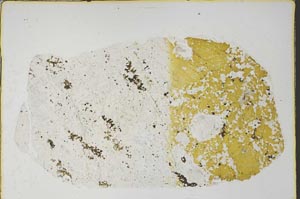 Plane Polarized, S59721