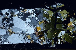 Cross Polarized, S59722