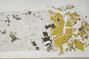 Plane Polarized, S59722