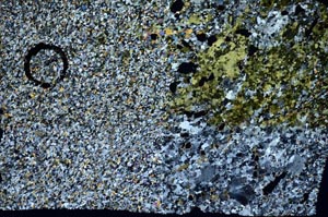 Cross Polarized, S59724