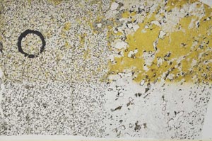 Plane Polarized, S59724