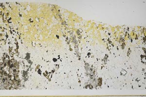 Plane Polarized, S59726