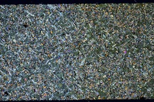 Cross Polarized, S59731