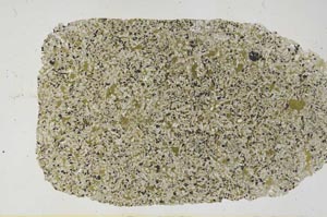 Plane Polarized, S59732