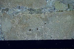 Cross Polarized, S59733/A