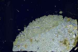 Cross Polarized, S59733/B