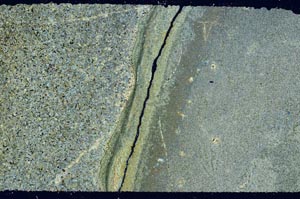 Cross Polarized, S59733/C