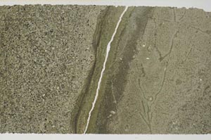 Plane Polarized, S59733/C