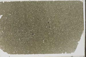 Plane Polarized, S59735