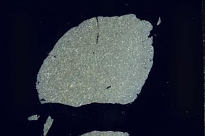 Cross Polarized, S59736