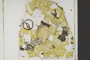 Plane Polarized, S59737/B