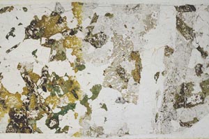 Plane Polarized, S59737/C