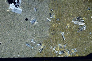 Cross Polarized, S59738