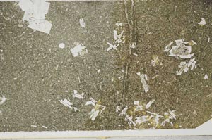 Plane Polarized, S59738