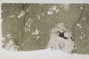 Plane Polarized, S59738/A