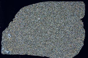 Cross Polarized, S59739/A