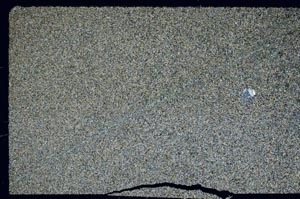 Cross Polarized, S59739/B