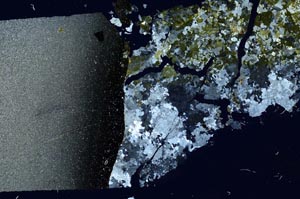 Cross Polarized, S59739/C