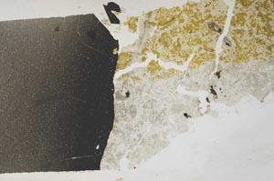 Plane Polarized, S59739/C