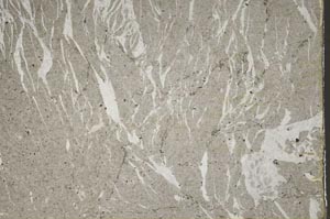 Plane Polarized, S59747