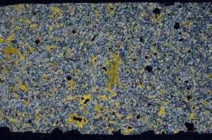 Cross Polarized, S59761