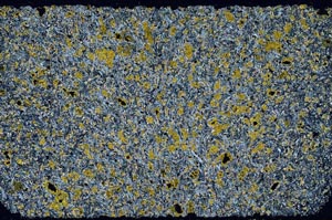 Cross Polarized, S59761/A