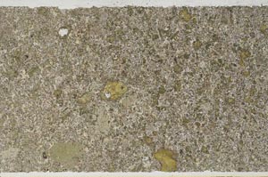 Plane Polarized, S59762