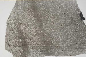 Plane Polarized, S59765