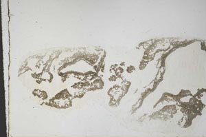 Plane Polarized, S59766