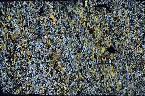 Cross Polarized, S59779