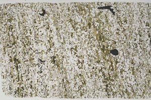 Plane Polarized, S59779
