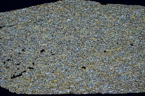 Cross Polarized, S59787