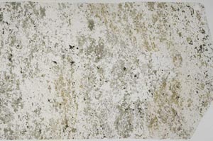 Plane Polarized, S59788