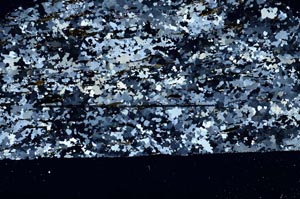 Cross Polarized, S59789/B