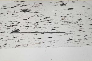 Plane Polarized, S59789/B