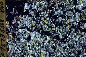 Cross Polarized, S59796