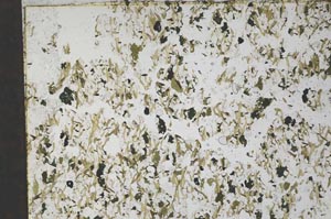 Plane Polarized, S59796