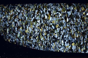 Cross Polarized, S59796/A