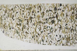 Plane Polarized, S59796/A