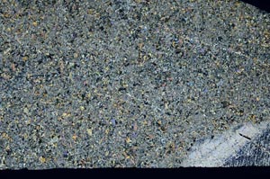 Cross Polarized, S59798