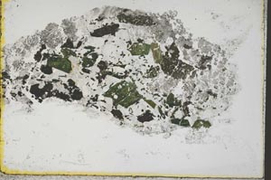 Plane Polarized, S59829